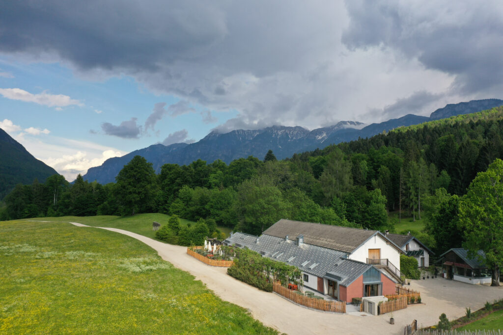 ERSILIA BOTANIC BISTRO