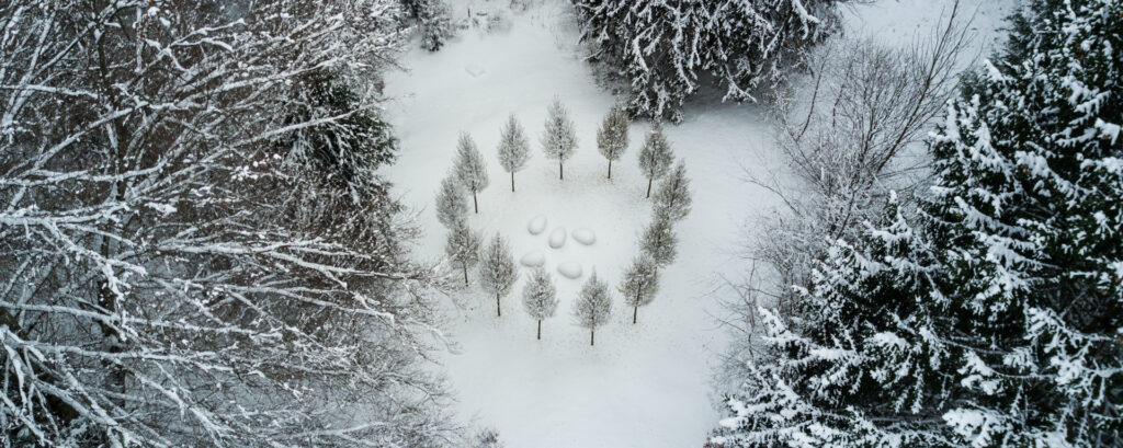 ARTE SELLA IS OPEN DAILY