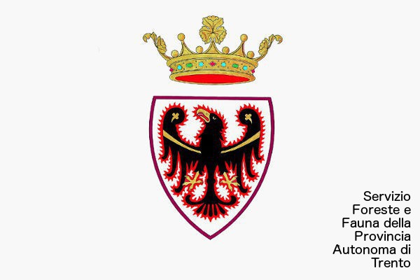 Servizio forestale Provincia