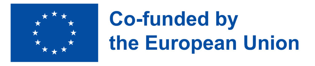 Co-funded by the European Commission
