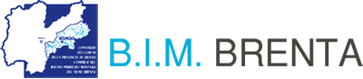 BIM