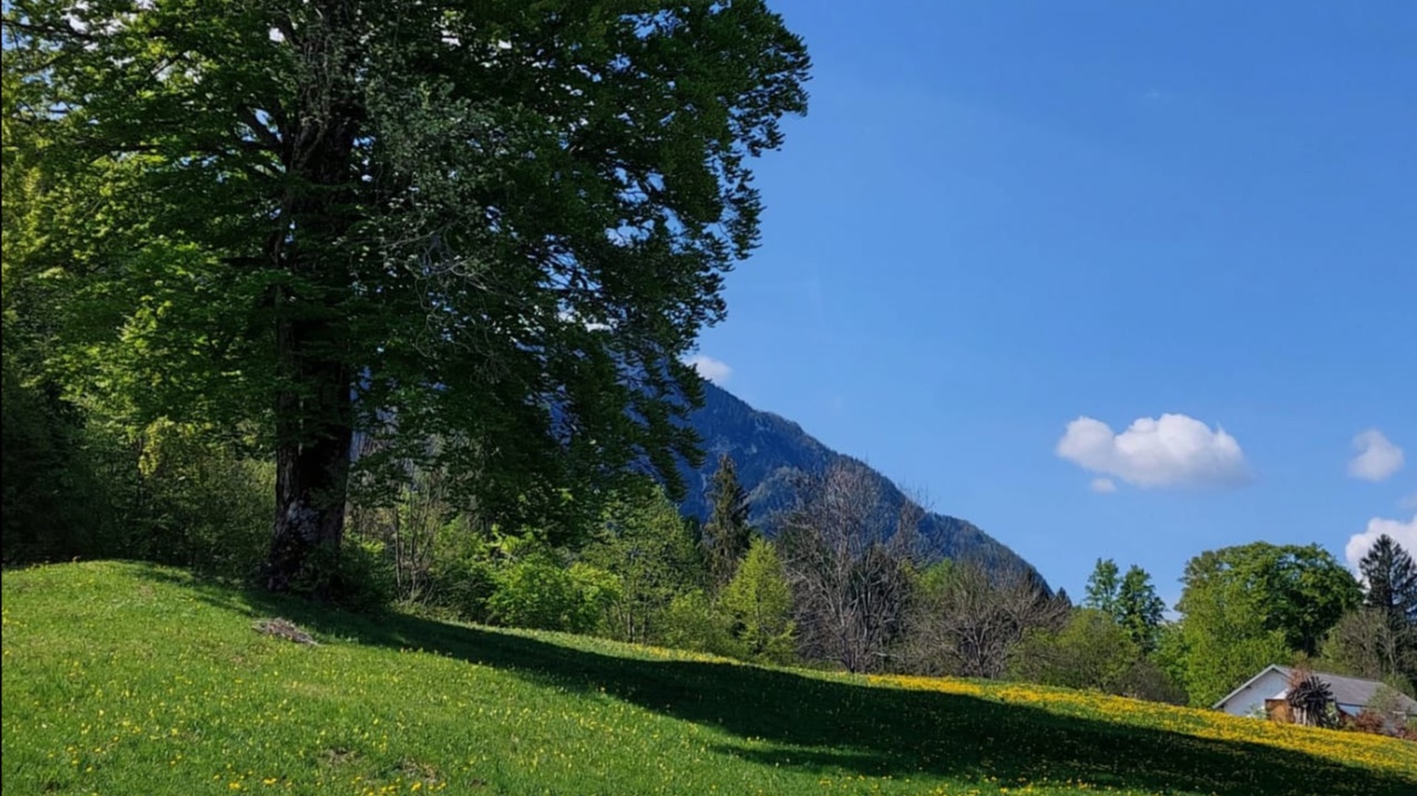 EFFICIENZA ENERGETICA E SMART BUILDING