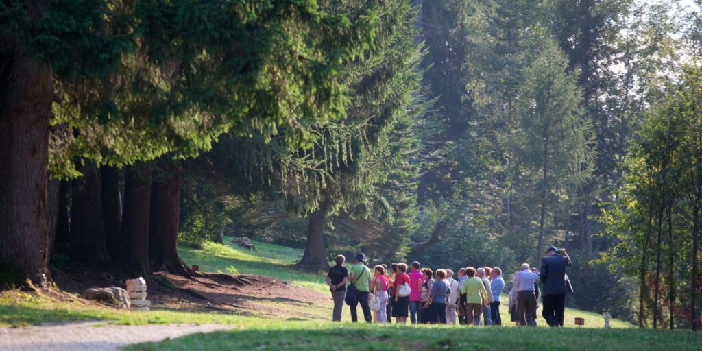 ARTE SELLA &Egrave; APERTA TUTTI I GIORNI