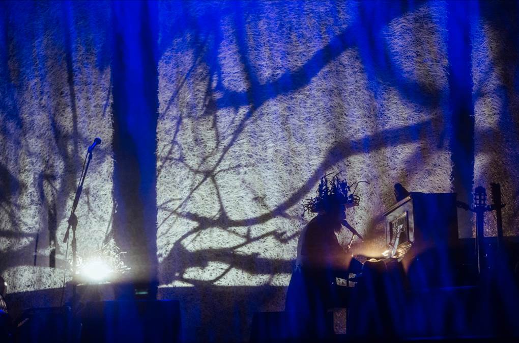 FUCINA VERDE &ndash; Nel bosco di latte